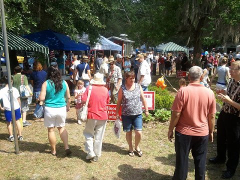 zucchini-festival